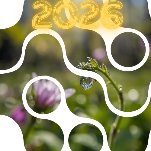 Webdesign Illustration